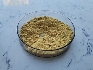 Yinsen — <span class=keywords><strong>extrait</strong></span> de racine de <span class=keywords><strong>gingembre</strong></span>, produit de qualité alimentaire - Product Image 2
