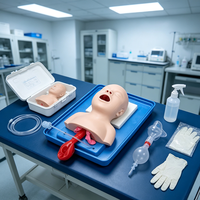 Modèle anatomique du pied humain normal pour l'enseignement en orthopédie des facultés de médecine