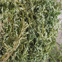 Zhu Zi Cao (Phyllanthus Niruri) Séché Naturellement, Qualité Supérieure, Fraîchement Congelé (FD), Plante Entière, Coupes de Bhumi Amla pour Herboristerie