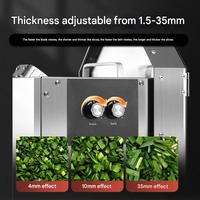Hoge Efficiëntie Elektrische Multifunctionele RVS Fruit- & Groentesnijder Inclusief Aardappelrasp Motor Kerncomponent