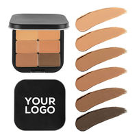 Vente en gros 6 couleurs Palette de correcteur imperméable mat Correcteur à couverture complète de marque privée OEM