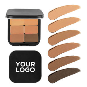 Commercio all'ingrosso 6 colori opachi impermeabili correttore Palette Private Label copertura completa correttore OEM