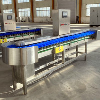 Sorteermachine Voor Sorteermachines Voor Fruitgroenten Aanpassen