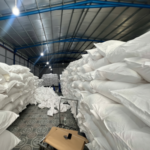 Noix de coco déshydratée 100% biologique, province de Bến Tre, Vietnam - Fruits secs de haute qualité, norme d'exportation, durée de conservation de 24 mois, faible teneur en humidité - Product Image 1