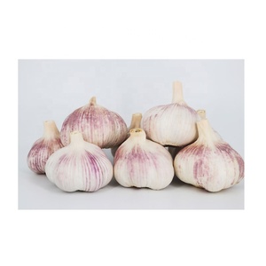 Jining fábrica al por mayor China agrícola fresco normal ajo blanco al por mayor 50mm 55mm 60mm ajo blanco puro para la venta - Product Image 1