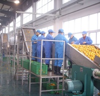 1-20 T/h Automatische Verwerkingsmachine Voor Mangosap En Jampasta Voor Fruitverwerkende Bedrijven