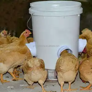 Alimentador de aves de corral a prueba de lluvia, Kits de comedero automático, cubos, barriles, comederos, puertos de alimentación de pollo DIY