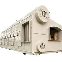 Chaudière à vapeur industrielle OEM à biomasse avec gazéifieur de charbon, contrôle PLC entièrement automatique, haute efficacité
