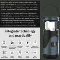 Global universal Digital noaa wb bin fm tupfen Radio Notfall übertragung Multi-Lautsprecher SOS Camping Licht Radio Mit Power Bank