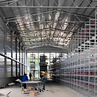 Ensemble complet de hangars pour bétail galvanisés, styles personnalisables variés, haute qualité à bas prix pour les fermes de bovins, porcs et moutons