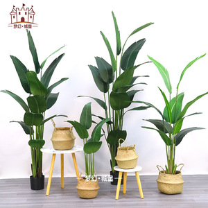 ต้นปาล์มเทียมดรีมคาสเซิล ขนาด 100-200 ซม. สำหรับตกแต่งภายในบ้านและสำนักงาน - Product Image 1