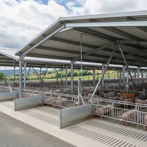 Diseño Profesional de Talleres con Estructura de Acero Moderna y Soluciones de Construcción de Granjas de Cerdos con Acero Estructural - Product Image 1