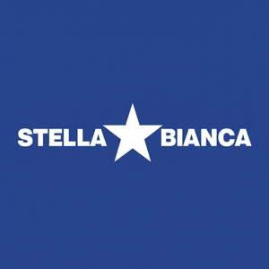 Stella bianca 65mm elettrolitica diamante nucleo punta trapano per pietra artificiale - Product Image 1