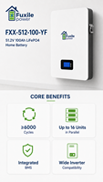 Batterie LiFePO4 murale de style Powerwall 5,12 kWh 51,2 V 100 Ah avec BMS intelligent pour stockage d'énergie solaire domestique, jusqu'à 16 parallèles