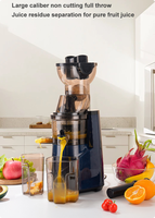 Kr Professionele Automatische Koude Pers Fruit Juicer Gemakkelijk Schoon Core Motor Pure Sap Maken Extractor Machine Voor Noten