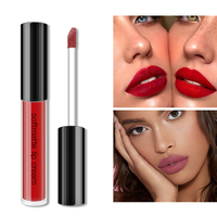 Maquillage pour les lèvres vegan personnalisé, gloss à lèvres hydratant et repulpant, fini mat, longue tenue, non collant, imperméable, gloss à lèvres liquide