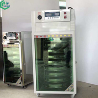 Machine de séchage des fèves de cacao, des grains de café, sécheuse rotative pour feuilles de laurier