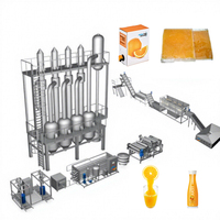1-200 T/h Citrus Citroen Sinaasappelsap Productielijn Vruchtensap Maken Machine Half Snijtype Extractor