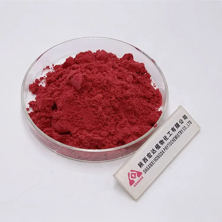 Nhà máy cung cấp chất lượng cao cấp thực phẩm 99% Cranberry bột Cranberry Bột nước ép