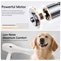 Sèche-cheveux professionnel portatif pour chiens et chats Shernbao Europe 8300 Pro 2200W, pour salon de toilettage et usage familial, sûr pour les poils d'animaux