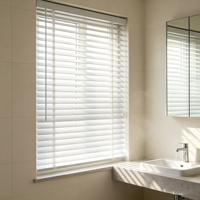 Ventana Moderna de Aluminio con Vidrio y Persianas Ajustables para Ventilación