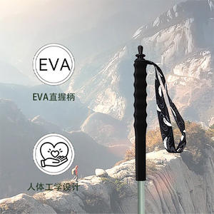 Bâtons de randonnée en fibre de carbone, 5 sections réglables, légers, portables, pour la randonnée en plein air, bâtons de marche, pointe en caoutchouc gris - Product Image 1