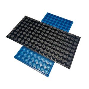 Bandeja de Germinación de <span class=keywords><strong>Semillas</strong></span> de Plástico PET/PS de 128 Celdas Redondas, Barata, al por Mayor en China, para Vegetales de Invernadero en Filipinas - Product Image 5