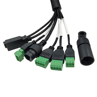 Sistema DE SEGURIDAD DE CÁMARA IP CCTV de alto rendimiento de 450mm IP67 Arnés de cableado de conductor de cobre estañado recubierto de PVC negro impermeable