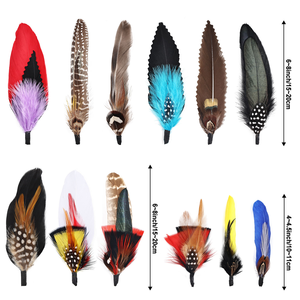 Tự Nhiên 21 Loại Hot Bán Bán Buôn Hat Gà lôi Lông Danh mục đầu tư Cho Dress Hat Trang Trí Thủ Công Mỹ Nghệ Số Lượng Lớn Chất Lượng Cao - Product Image 5