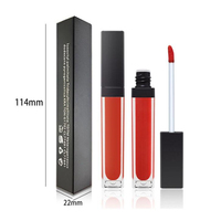 Rouge à lèvres liquide mat 33 couleurs de haute qualité rouge à lèvres liquide imperméable glacé beauté de marque privée