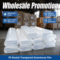 Film plastique transparent extensible en PE facile à assembler pour serre agricole, couverture de tunnel de jardin, résistant aux UV, imperméable
