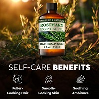 Minyak Esensial Biji Rosemary Organik 100% Murni Cold Pressed untuk Pertumbuhan Rambut dan Pijat dengan Aroma Manis