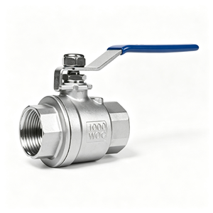 Robinet à bille en acier inoxydable SS304, filetage NPT femelle, passage complet, pour eau et gaz, avec levier d'arrêt, résistant à la corrosion, utilisation durable - Product Image 1