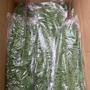 L-336 nouveau Style vraies plantes au toucher fausse feuille perse plantes vertes artificielles suspendues pour décoration de <span class=keywords><strong>plafond</strong></span> - Product Image 6