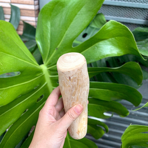 Jouet à mâcher pour chien en bois de café écologique, best-seller, durable, pour le nettoyage des dents, taille moyenne, logo personnalisé, fabriqué au Vietnam - Product Image 1