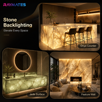 Feuille LED CCT découpable RAYMATES 24V 484 LED, feuille de lumière blanche flexible et réglable, panneau LED ultra-fin pour l'éclairage architectural