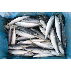 Commercio all'ingrosso congelato sgombro pacifico atlantico aringa Fujian pesce sgombro dalle dimensioni dell'oceano Pacifico 100 200 300 500 disponibili - Product Image 3