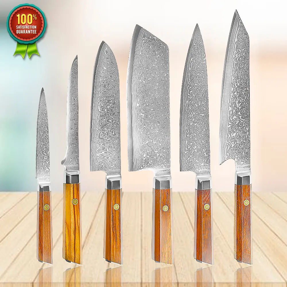 Japon VG10 67 katmanlar şam çelik şef bıçak seti profesyonel restoranlar sekizgen ahşap saplı mutfak bıçakları Set