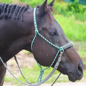 Nuevos productos 2024 cuerda de seguridad única Hopples Halter de caballo y juegos de cuerda de brida de plomo Halter de cuerda de caballo