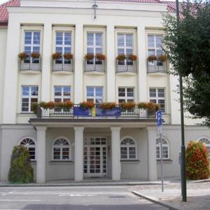 SOL Boîtes de culture rectangulaires fines en plastique transparent, best-seller - Product Image 6