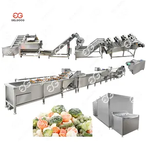 Iqf jalur produksi sayuran beku, peralatan produksi bayam, kentang, wortel, beku, cepat