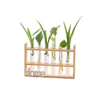 Vase hydroponique rétro en verre à six tubes avec support en bois double couche pour la maison
