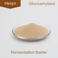 Glucoamylase de qualité supérieure pour la dégradation des amidons (Poudre 10 milliards UFC/g Certifiée ISO) – Optimise l'efficacité de la fermentation pour l'alcool