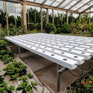 Canal en <span class=keywords><strong>PVC</strong></span> pour système de culture hydroponique 100*50mm - Product Image 6