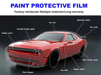 Film de protection de peinture (PPF) en vinyle coloré pour voiture, matériau TPU 7,5 mil de qualité américaine, garantie 5 ans, longue durée de vie