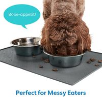 Tapis d'alimentation pour animaux de compagnie en silicone imperméable et antidérapant avec bords à motif animalier moderne, élégant, pour chien et chat, anti-débordement