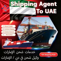 Agente de Transporte Marítimo en los Emiratos Árabes Unidos, Puerto de Al Maktoum, Fujairah, TIPTOP LCL+Express DDP, Envío de Mercancías Peligrosas, Seguimiento de Paquetes, Transitario