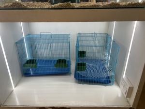 Gabbia per animali domestici pieghevole in metallo con motivo solido moderno per conigli domestici porcellini d'India cincillà piccoli uccelli - Product Image 4