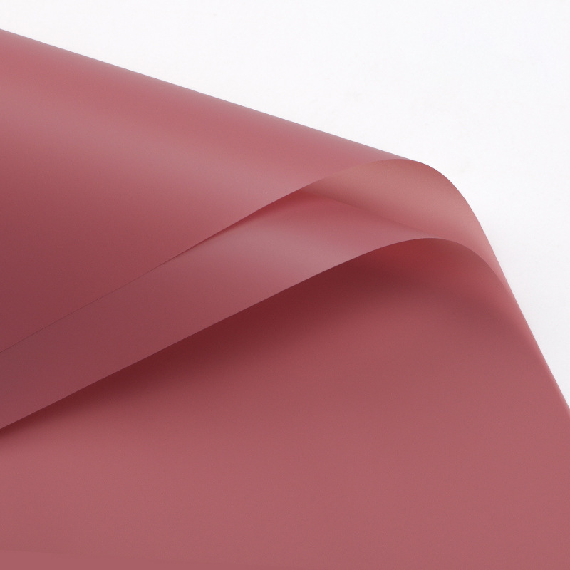 Couleur pâte de haricot [20 feuilles]