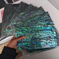 Feuille de coquille d'ormeau naturel de Nouvelle-Zélande conception de bricolage personnalisée pour la décoration de la maison ou les lunettes de soleil Style d'amour unique en nacre